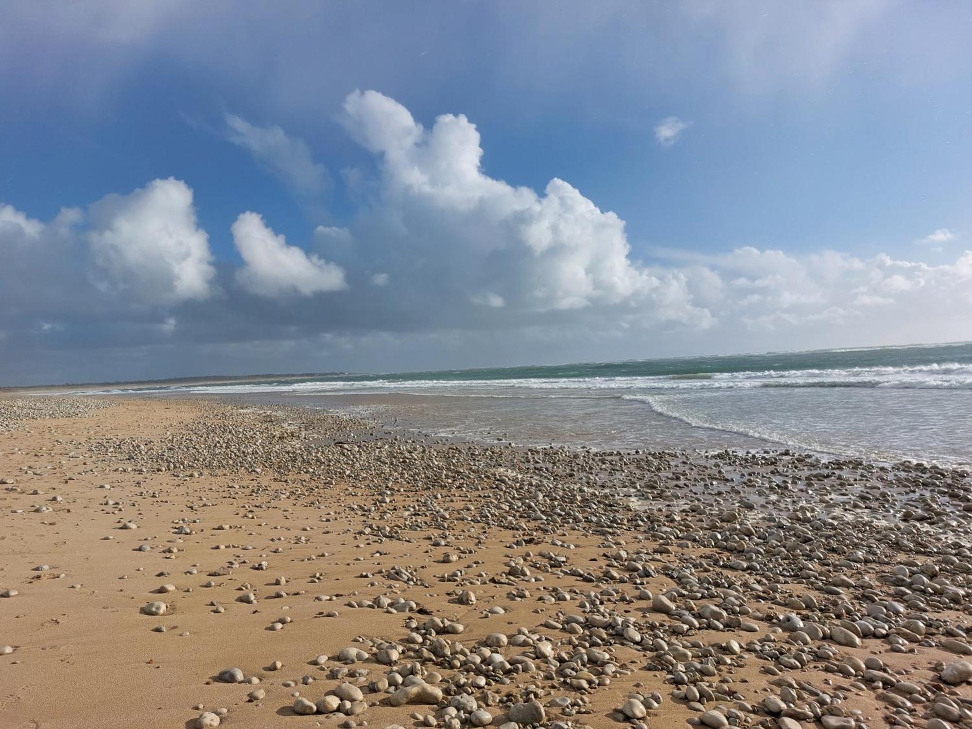 Maison A 8 Min A Pied De La Plage Avec Jardin Clos Et Ombrage Saint-Georges-d’Oléron Kültér fotó